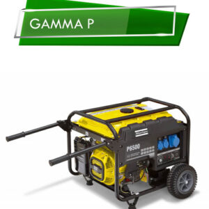 Gamma P | AirPlus Compressori